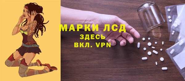 индика Снежинск