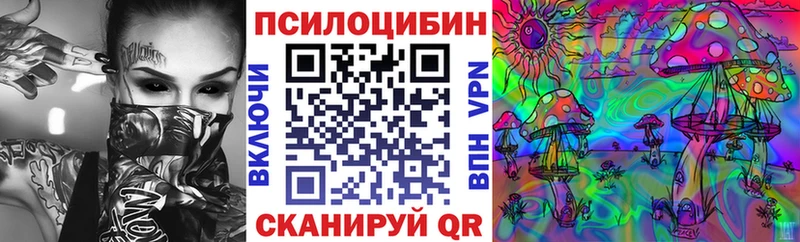 Купить закладки  Яхрома  Псилоцибиновые грибы Psilocybine cubensis 