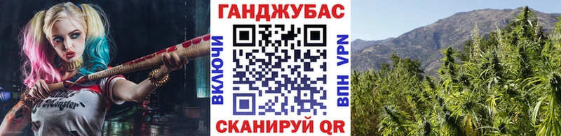 Купить где  Яхрома  Марихуана гибрид 